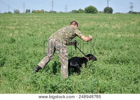 A Young Hunter Study His Black Hunting Dog Field Among The Green Grass. A Spring Warm Day. German Sh