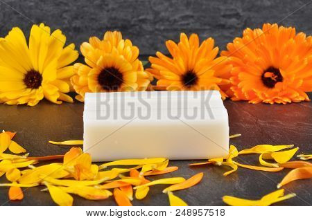 Colorful And Crisp Image Of Natural Cosmetics And Common Marigold On Shale