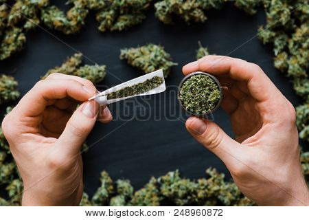 Grinder A Lot Ofx Marijuana, Fresh Buds Of Cannabis Many Weed. Copy Spase Copy-space