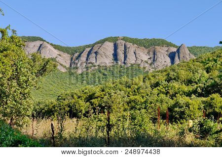 A Beautiful Landscape Of Green Nature With Trees And A Rock Standing Among Them Consisting Of Huge S