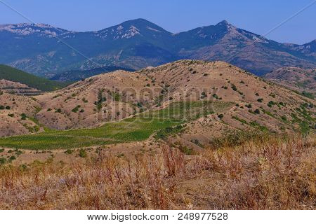 Green Shoots Of Rural Farms Located On The Plain Of A Mountain Slope With Scant Vegetation.