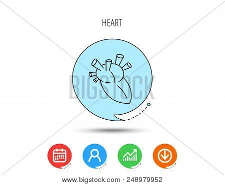 Heart Icon. Human Organ Sign. Surgical Transplantation Symbol. Calendar, User And Business Chart, Do