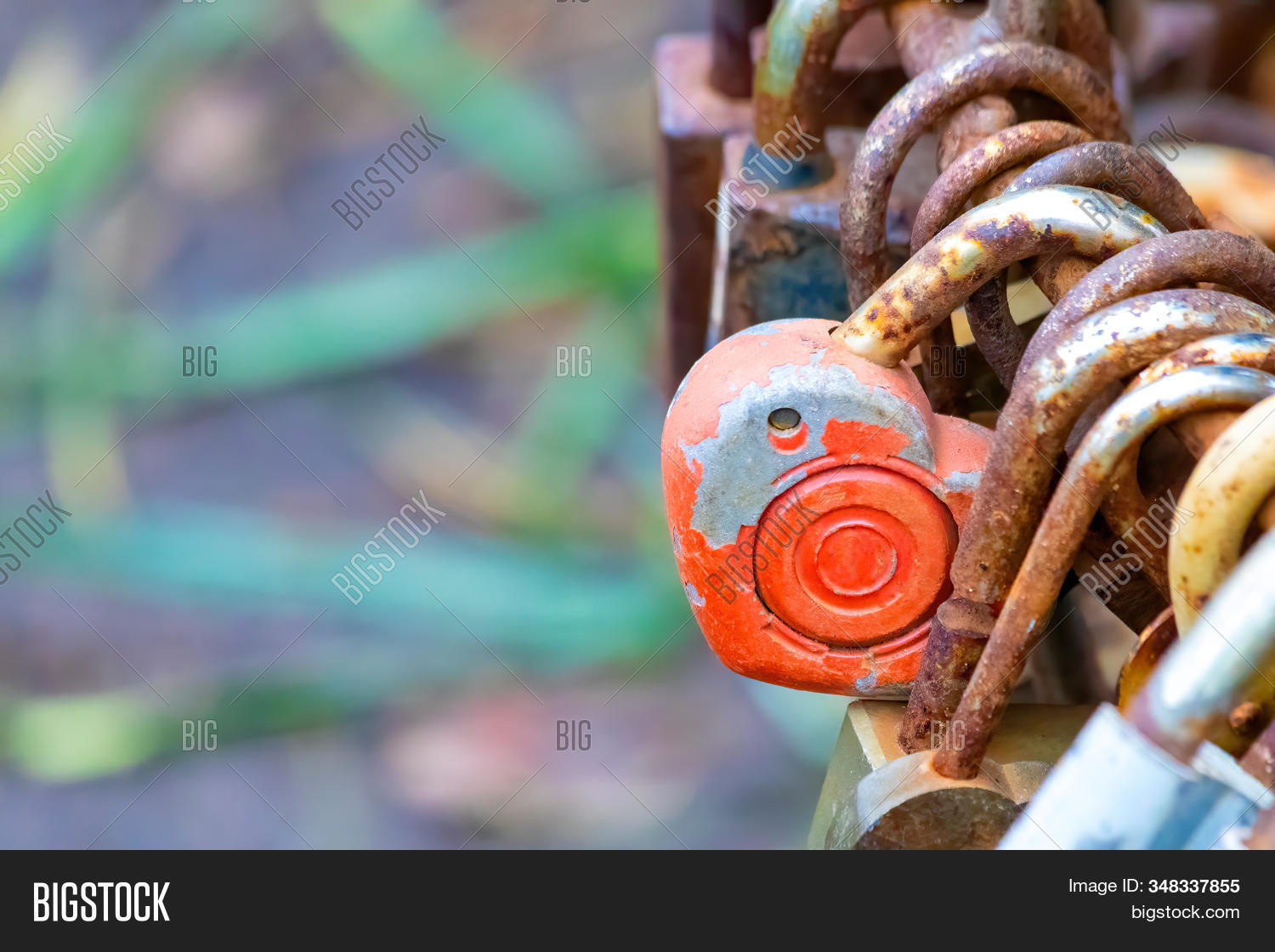 Rusty Pick Lock Group Old Rusty Locks Image & Photo (Free Trial) | Bigstock