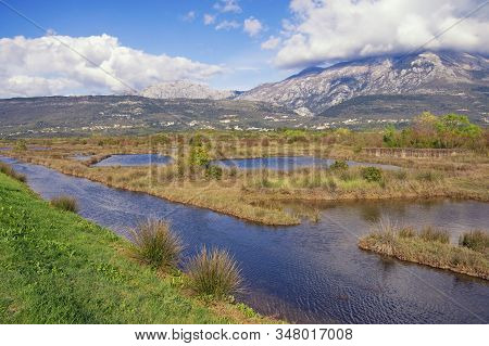 Beautiful Wetland Landscape. View Of Tivat Salina  ( Tivatska Solila ) On Sunny Spring Day.  Montene