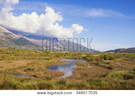 Beautiful Wetland Landscape. Montenegro, Tivat. View Of Tivat Salina  ( Tivatska Solila )  On Sunny 