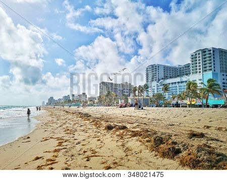Hollywood, Florida, Usa - December 13, 2019: Old Dry Seaweed Algae On Sandy Hollywood Floridian Beac