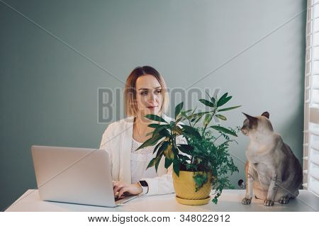 Caucasian Business Woman Working On Laptop Computer. Freelancer Working Remotely On Internet From Ho