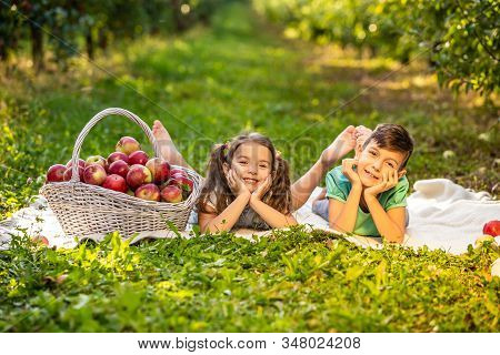 Photo Of Little Sister And Brother Who Gathered Apples To Bake Apple Pie On Winter Holidays.