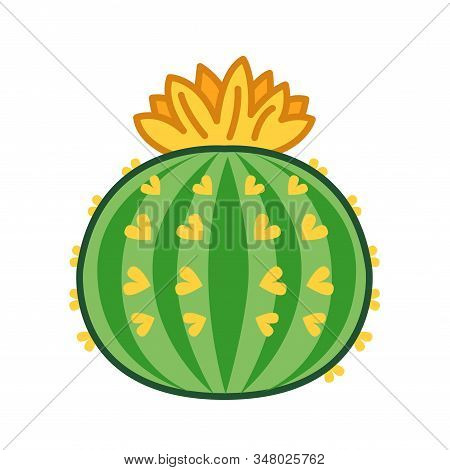 Cactus Flower Color Line Icon. Type Of Cacti. Cactus Blooms Depends On Its Age And The Care It Gets.