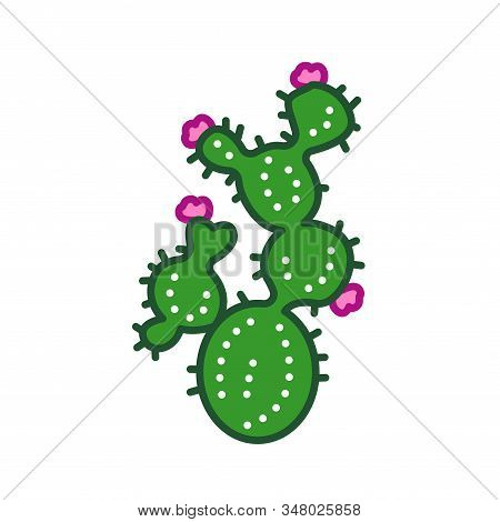 Cactus Flower Color Line Icon. Type Of Cacti. Cactus Blooms Depends On Its Age And The Care It Gets.