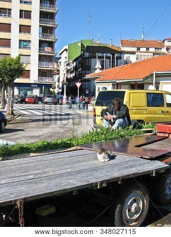 Young Man And A Gray And White Cat Sleeping In The Same Street Pose In The Sun In Castro Urdiales, S