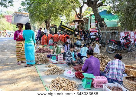 Mandalay, Myanmar - January 18, 2017: Women Sell Winged Bean Roots (sophocarpus Tetragonolobus) At A