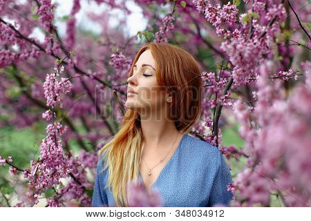 Beautiful Dreaming Redhead Woman In Spring Time Blossom Cherrytrees Garden.