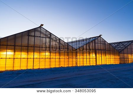 Thanks To The Geothermal Hot Water Iceland Is Able To Grow Plants All Year Long Even In The Winter T