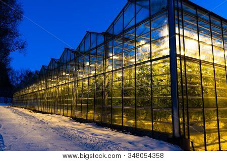Thanks To The Geothermal Hot Water Iceland Is Able To Grow Plants All Year Long Even In The Winter T
