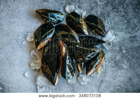 Fresh Seafood Shellfish In The Restaurant Or For Sale In The Market Mussel Shell Food / Raw Mussels 