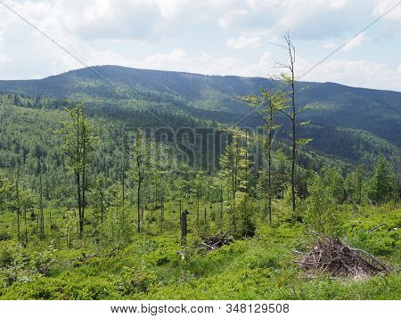 Scenic Panorama Of Silesian Beskids Mountains Range Landscapes Near Salmopol Pass Above European Cit
