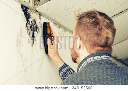 Bearded Man Removes Black Mold On The Wall After Leakage - Image Toned