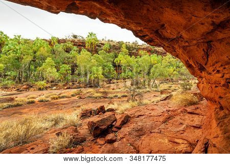 Unique Palm Valley In Finke Gorge National Park Good