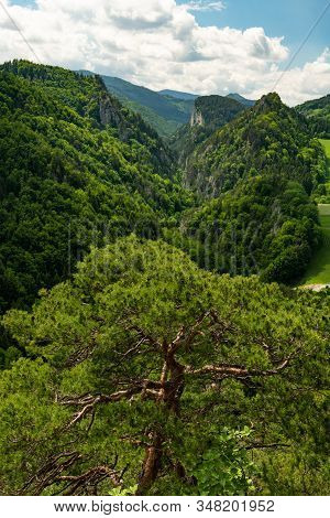 Scenic View In Semmering Mountains (austria) On A Csunny Day In Summer