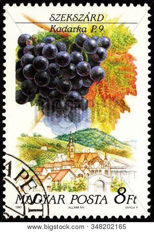 Moscow, Russia - January 30, 2020: Stamp Printed In Hungary Shows Grape Kadarka, Szekszard Region, S