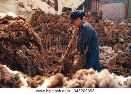 Arequipa, Peru - July 20 2010: Alpaca Wool Production. Woman Worker Sorting Brown Fibers In An Alpac