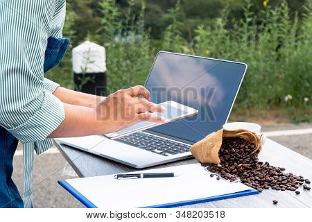 The Woman Inspected The Coffee Bean Quality And Recorded The Results.