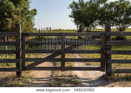 Pampa Landscapes. The Pampas Are A Natural, Pastoral Plains With Field-covered Plains Located In Sou
