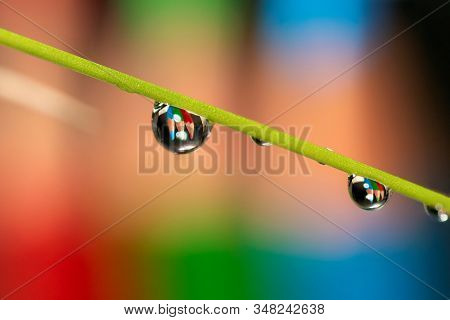 A Macro Portrait Of A Blade Of Grass With A Two Dew Droplets Hanging From It. In The Water Drops The