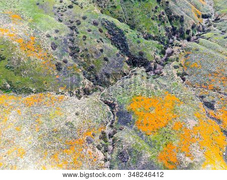 Aerial View Of Mountain With California Golden Poppy And Goldfields Blooming In Walker Canyon, Lake 