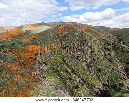 Aerial View Of Mountain With California Golden Poppy And Goldfields Blooming In Walker Canyon, Lake 