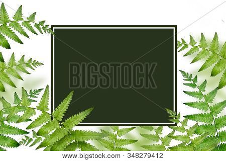 Top View Flat Lay Empty Green Blackboard With Green Leaf Of Tropical. For Add Your Design On Space O
