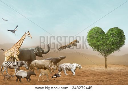 African Safari And Asian Animals In The Theme Illustration, Filled With Many Animals With Mountains
