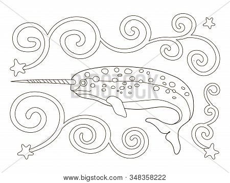Vector Beautiful Coloring Book For Adults And Children With A Narwhal. A Series Of Coloring Books Wi