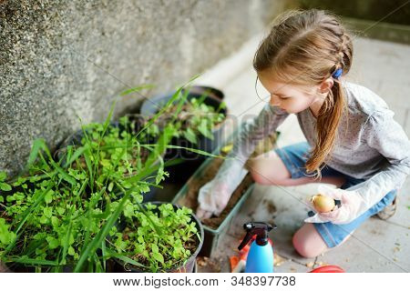 Cute Little Girl Helping In A Garden. Child Taking Part In Outdoor Household Chores.