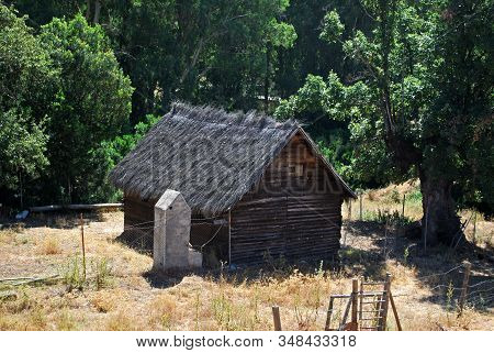 Thatched Barn In The Forest, Sierra De Los Alcornocales, Andalucia, Spain