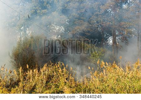 Peatland Fires Are Raging In Early Autumn