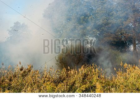 Peatland Fires Are Raging In Early Autumn
