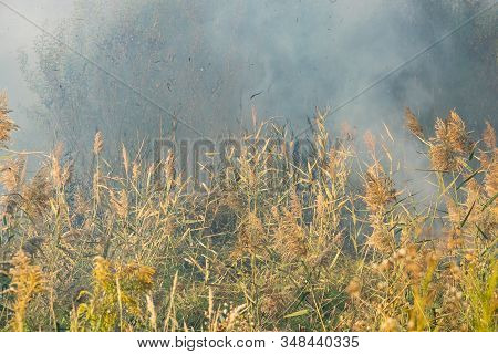 Peatland Fires Are Raging In Early Autumn