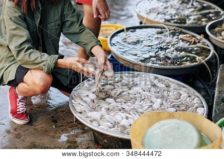 Unrecognizable Young Woman Sitting On Her Hunkers Choosing Octopuses For Dinner At Fish Market