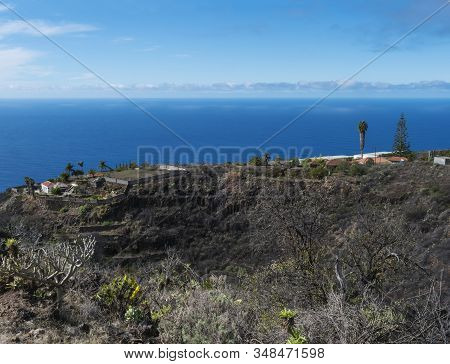 Rural Subtropical Landscape With Palm Trees, Farm House And Sea Horizon. Blue Sky Background, La Pal