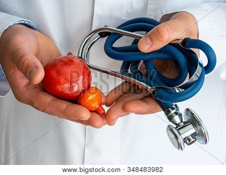 Concept Photo Diagnostics And Treatment Of Diseases Of Prostate And Urine Bladder. Doctor Dressed In