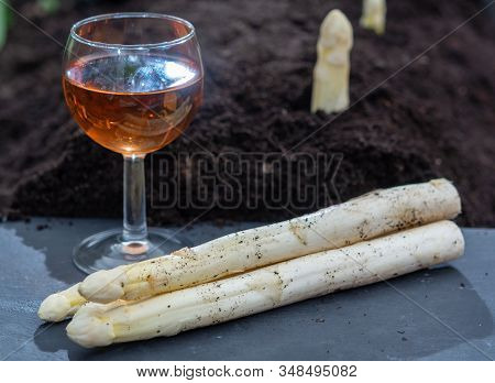 New Harvest Of  White Asparagus Vegetable In Spring Season And Glas Rose Wine, White Heads Of Aspara