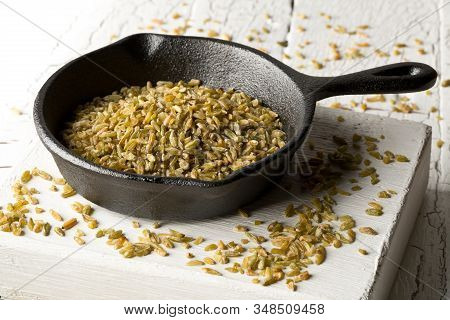 Uncooked, Raw Freekeh Or Firik, Roasted Wheat Grain, In Metal Pan On White Rustic Table Background W