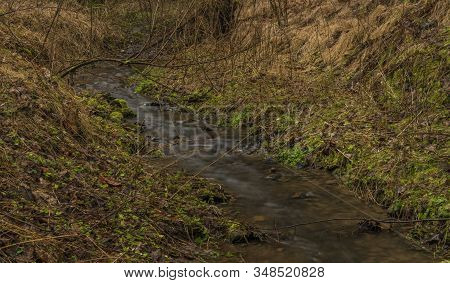 Zvikovsky Creek With Green Grass And Stones Near Velesin Town In South Bohemia