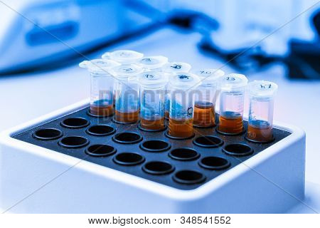 Orange Substance In Microtube Is Put In Thermo Shaker. Dna Experiment In Biochemical Laboratory. Cli