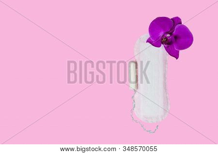 Daily Sanitary Pad For Every Day, Tampon For Critical, Menstruation With Flower Orchid On Pink Backg