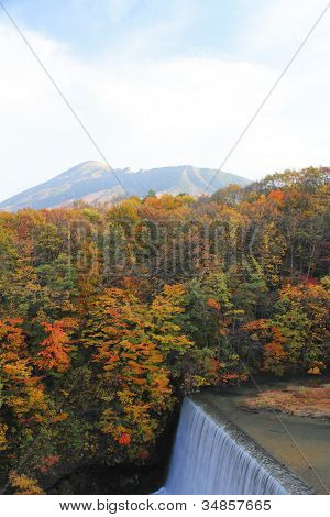 Kolorowe liście i Mt.iwate