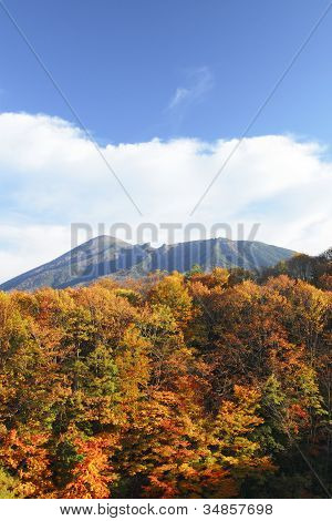 Kolorowe liście i Mt.iwate