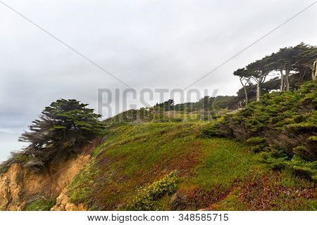 Sutro Heights Park In San Francisco, California, In A Rainy Day
